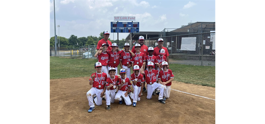 Dulles Little League Baseball > Home