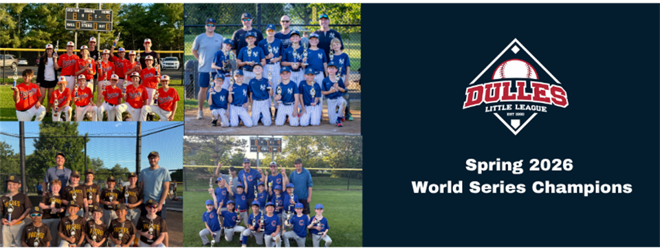 World Series Champions